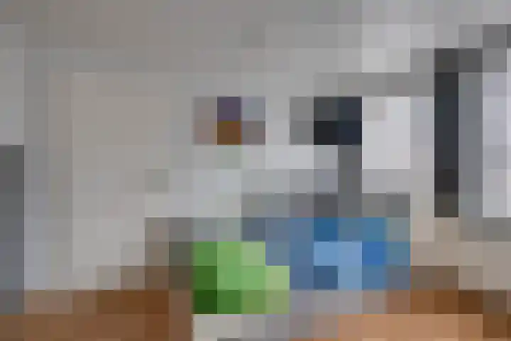Noordsingel 47 Sprundel thumbnail 26