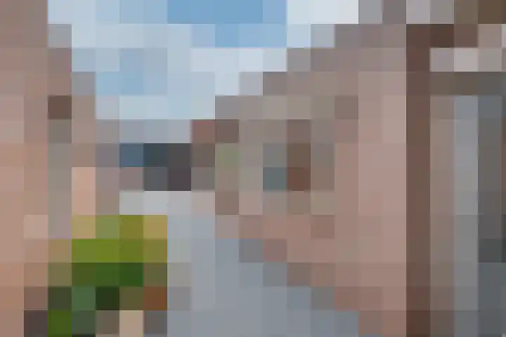Noordsingel 47 Sprundel thumbnail 34