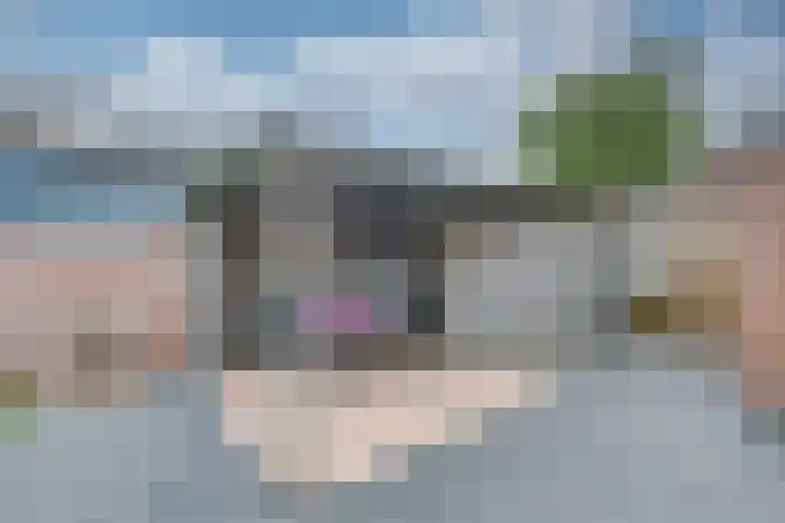 Noordsingel 47 Sprundel thumbnail 37