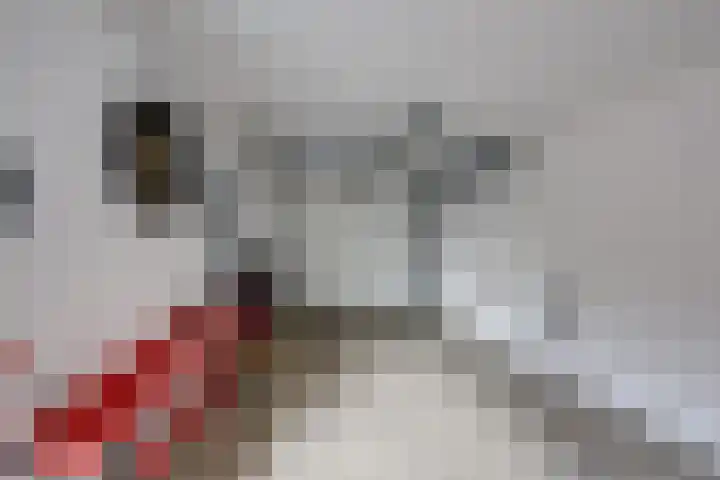 Noordsingel 47 Sprundel thumbnail 40