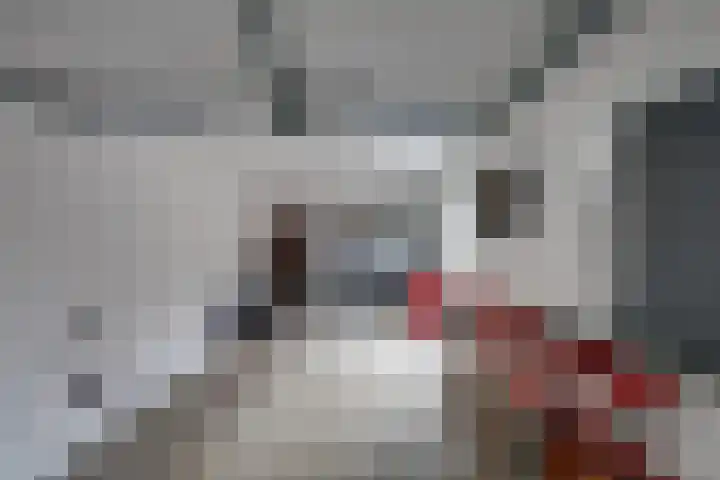 Noordsingel 47 Sprundel thumbnail 41