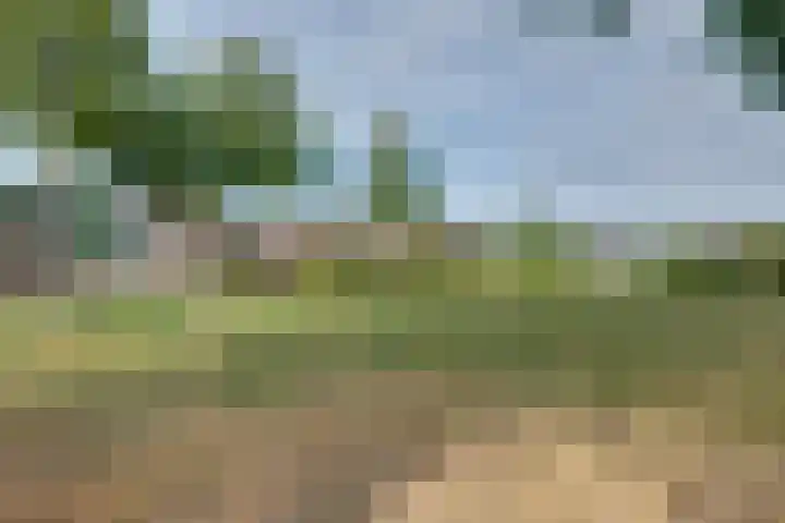 Noordsingel 47 Sprundel thumbnail 8