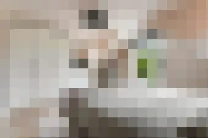 Noordsingel 56 Middelburg thumbnail 14