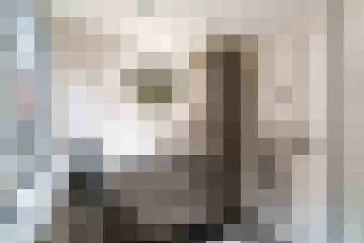Noordsingel 56 Middelburg thumbnail 19