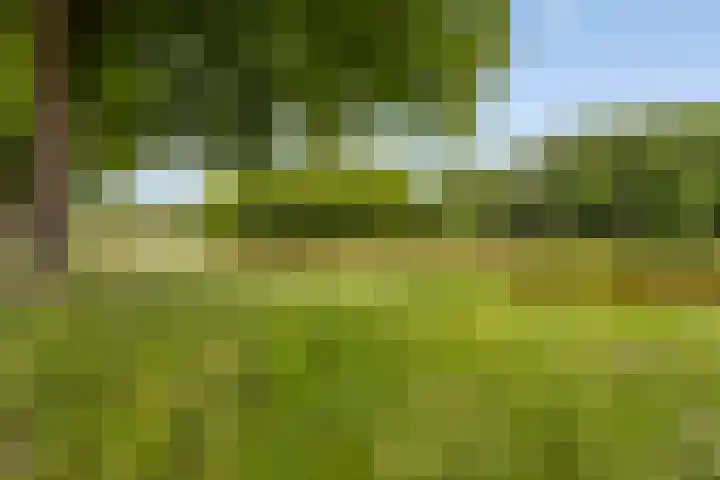 Noordsingel 58 Middelburg thumbnail 32