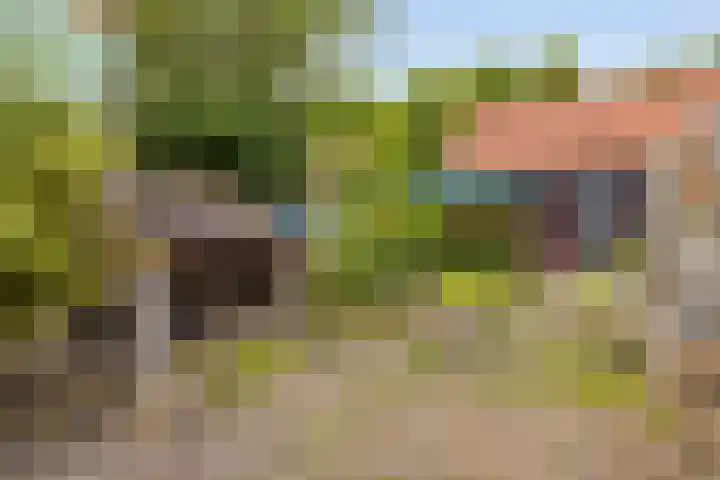 Noordsingel 58 Middelburg thumbnail 4