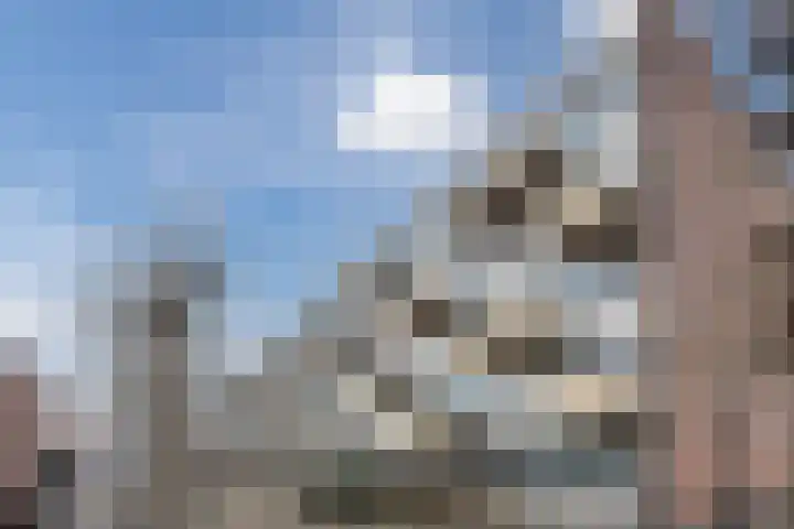 Noordsingel 62 Bergen op Zoom thumbnail 25