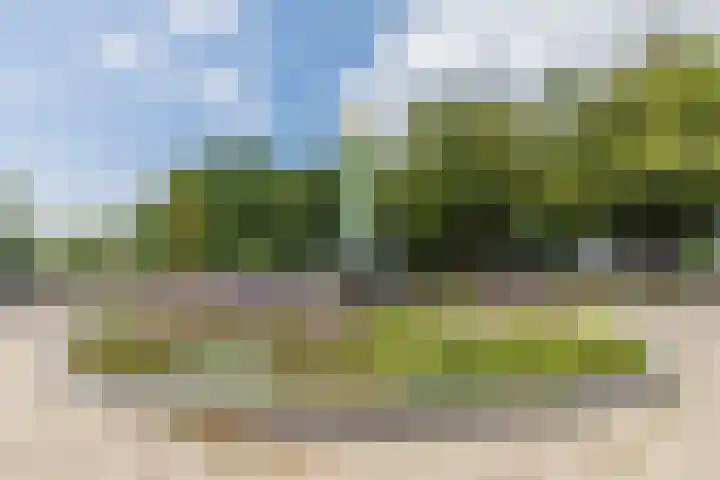 Noordsingel 62 Bergen op Zoom thumbnail 30