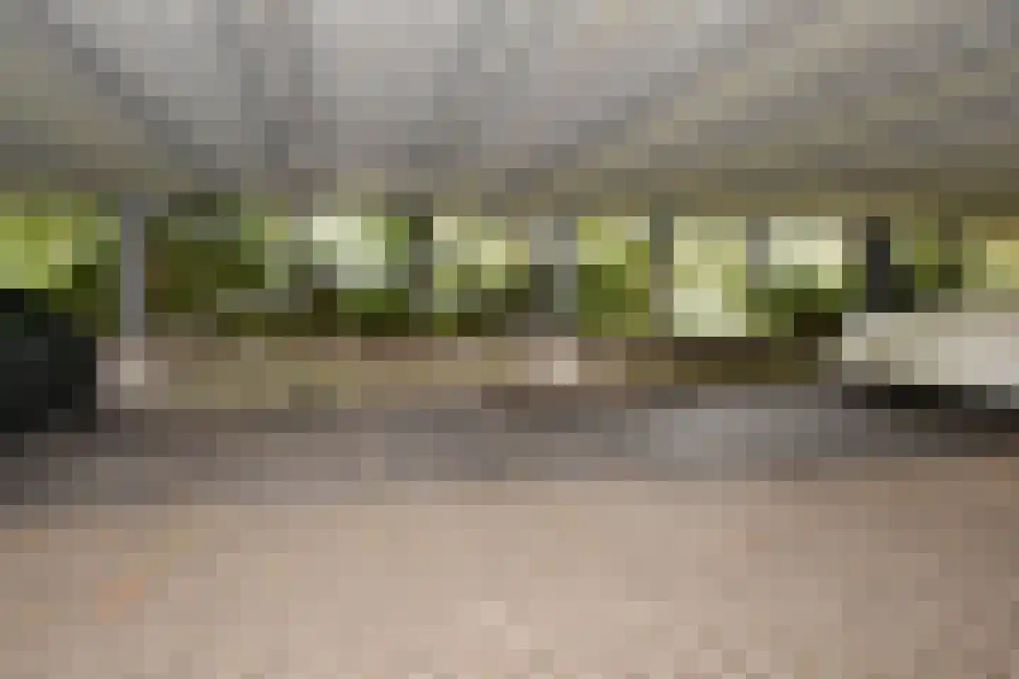 Noordsingel 62 Leidschendam thumbnail 23
