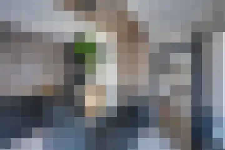 Noordsingel 64 Sprundel thumbnail 15