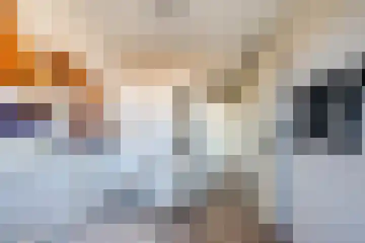 Noordsingel 64 Sprundel thumbnail 21