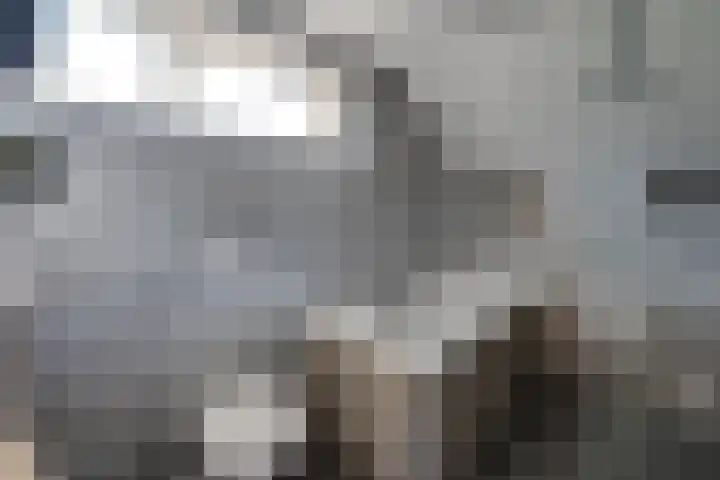 Noordsingel 64 Sprundel thumbnail 24