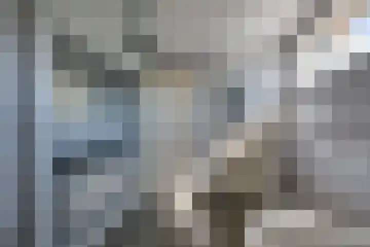Noordsingel 64 Sprundel thumbnail 26