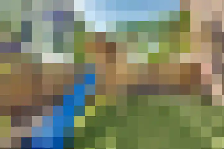 Noordsingel 64 Sprundel thumbnail 35