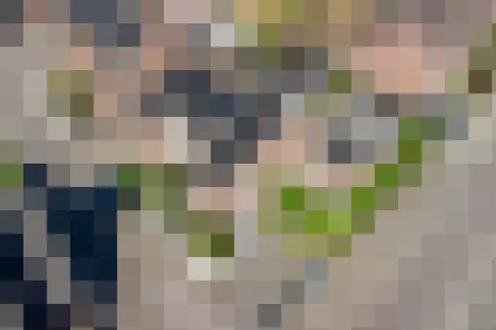 Noordsingel 64 Sprundel thumbnail 38