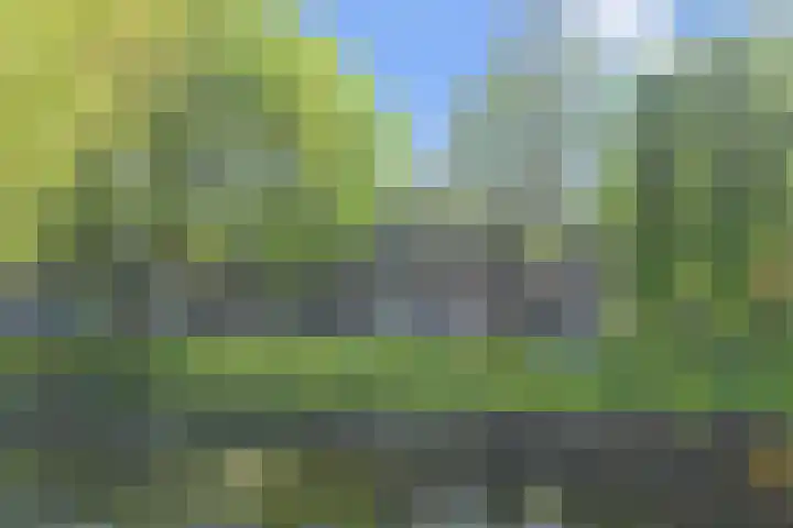 Noordsingel 66 B 03 in Rotterdam