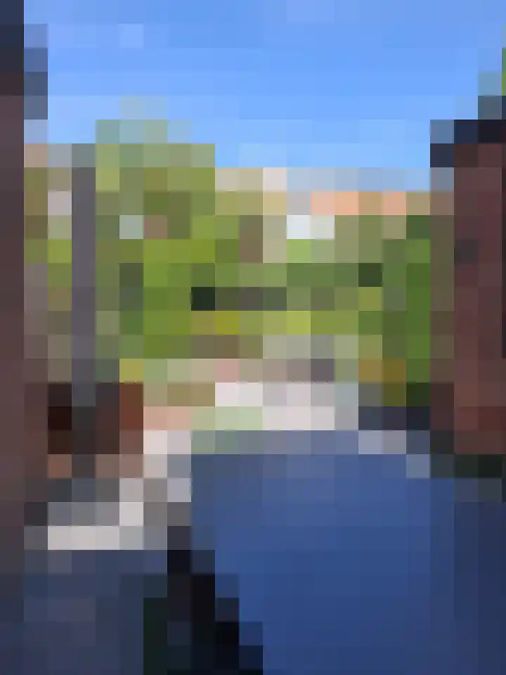 Noordsingel 87 Bergen op Zoom thumbnail 36