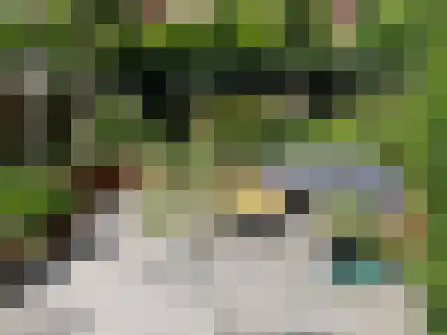 Noordsingel 87 Bergen op Zoom thumbnail 38