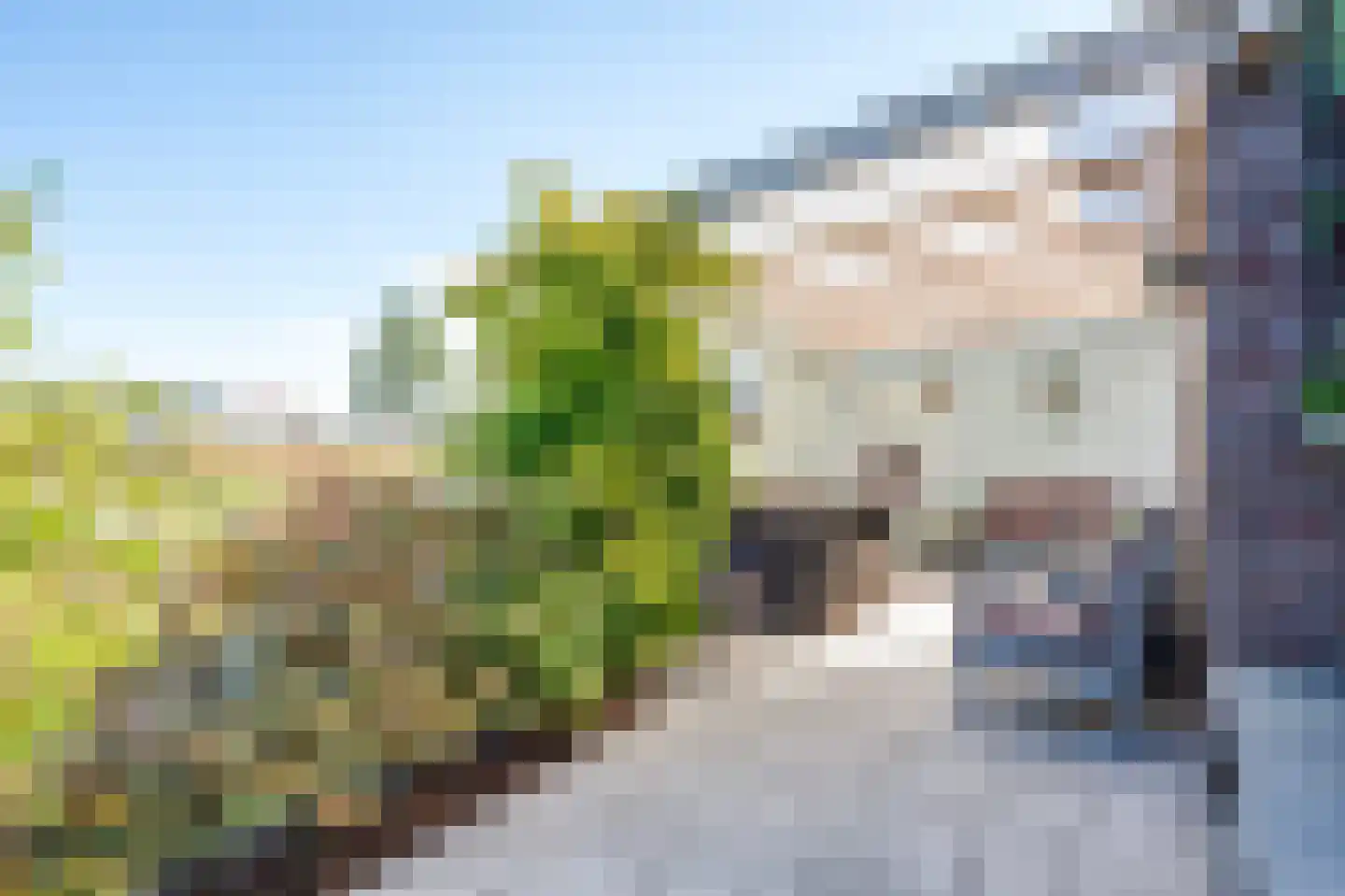 Noordsingel 94 Wezep thumbnail 39