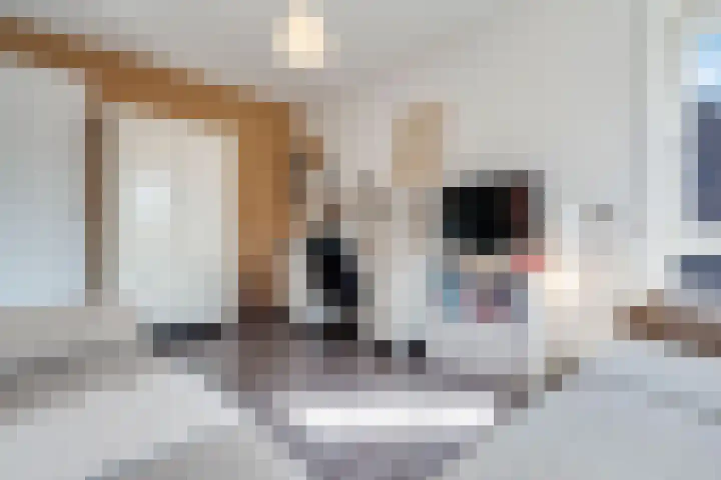 Noordsingel 94 Wezep thumbnail 53