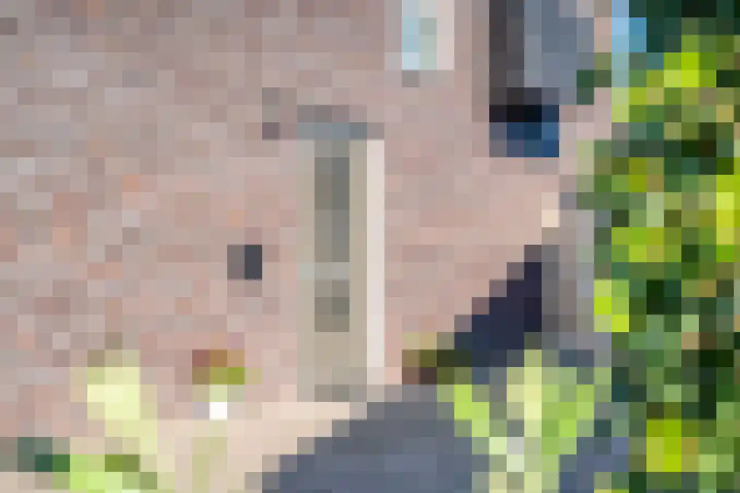 Noordsingel 94 Wezep thumbnail 9