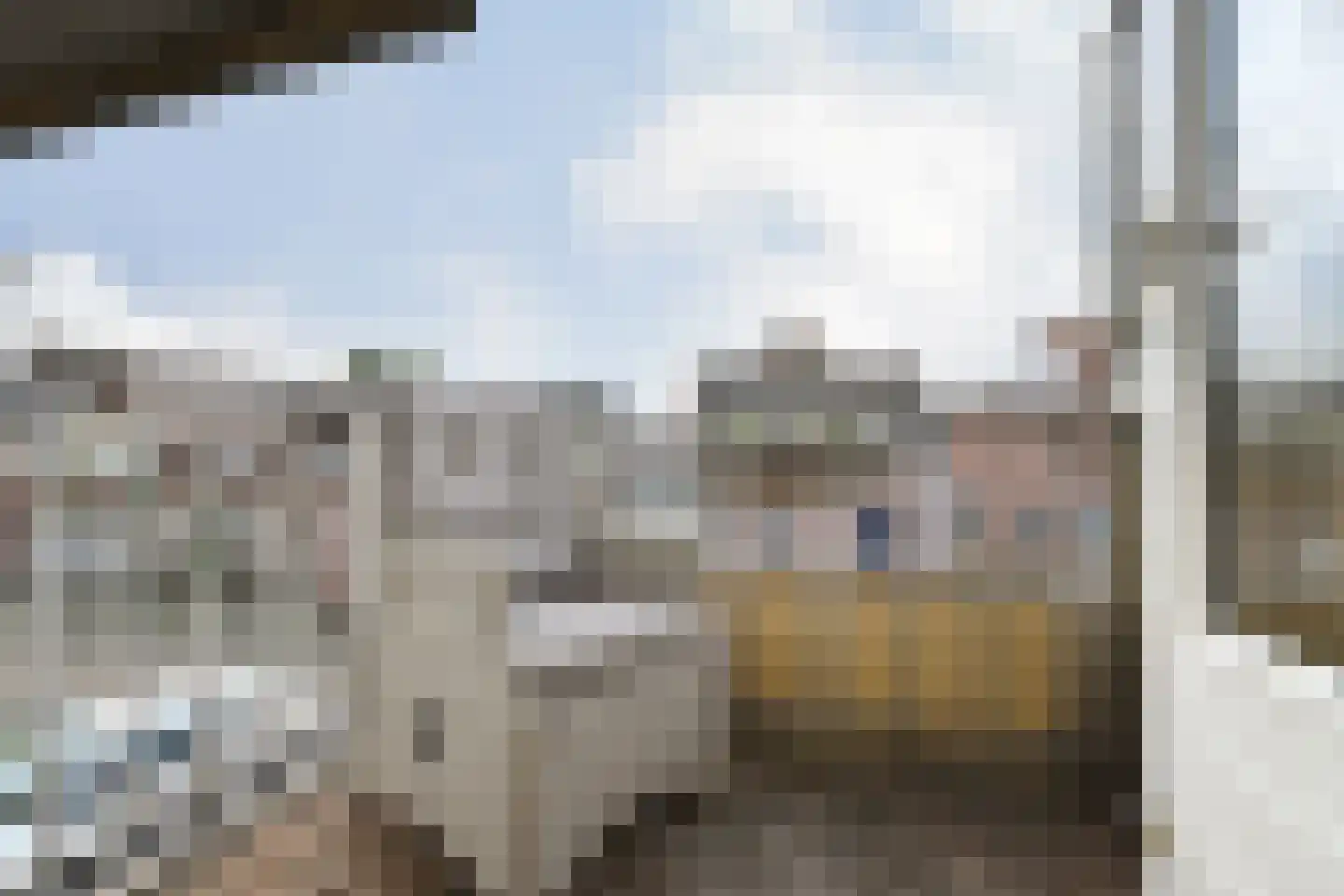 Noordsingel 96 Bergen op Zoom thumbnail 13