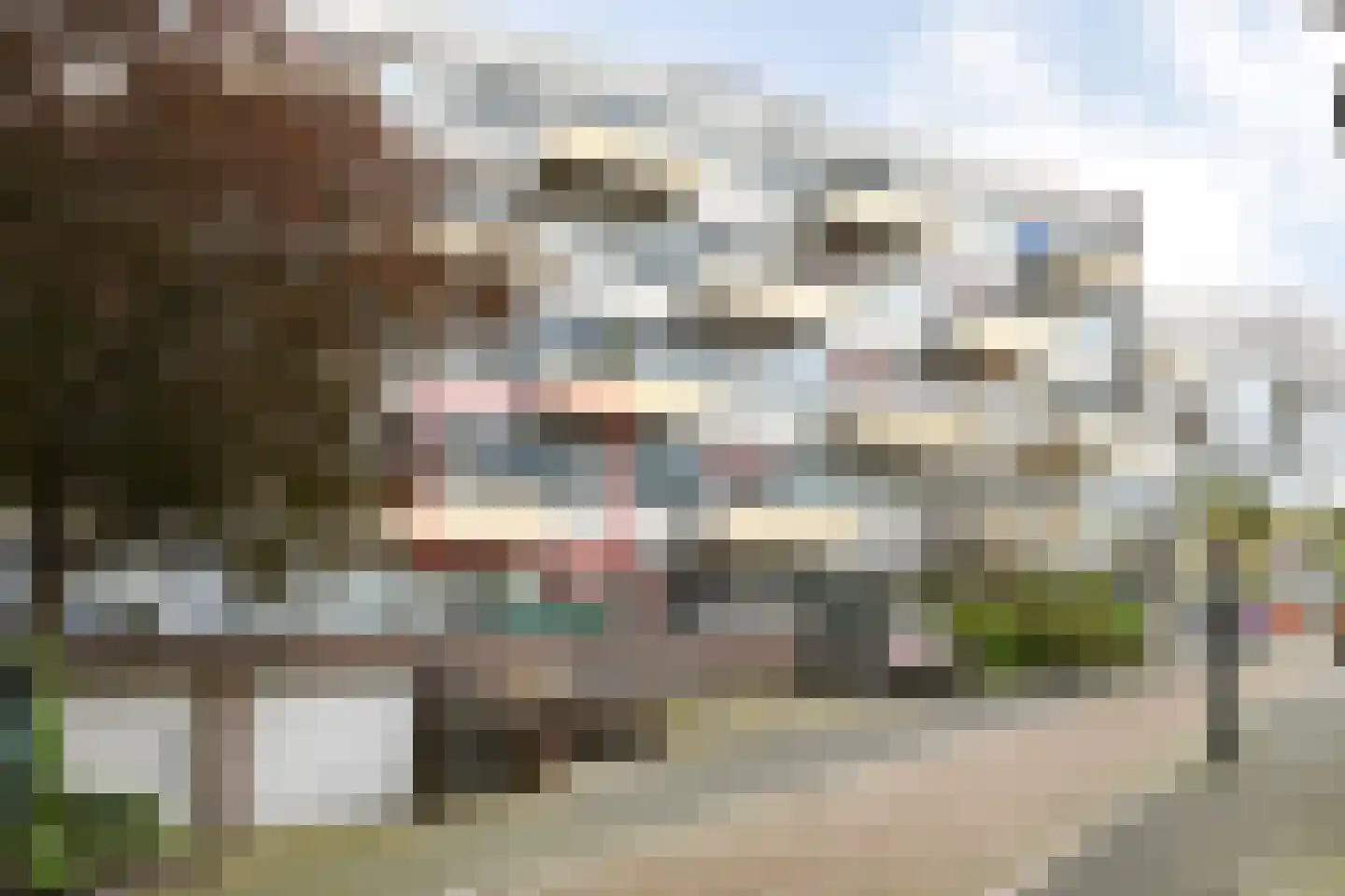 Noordsingel 96 Bergen op Zoom thumbnail 17