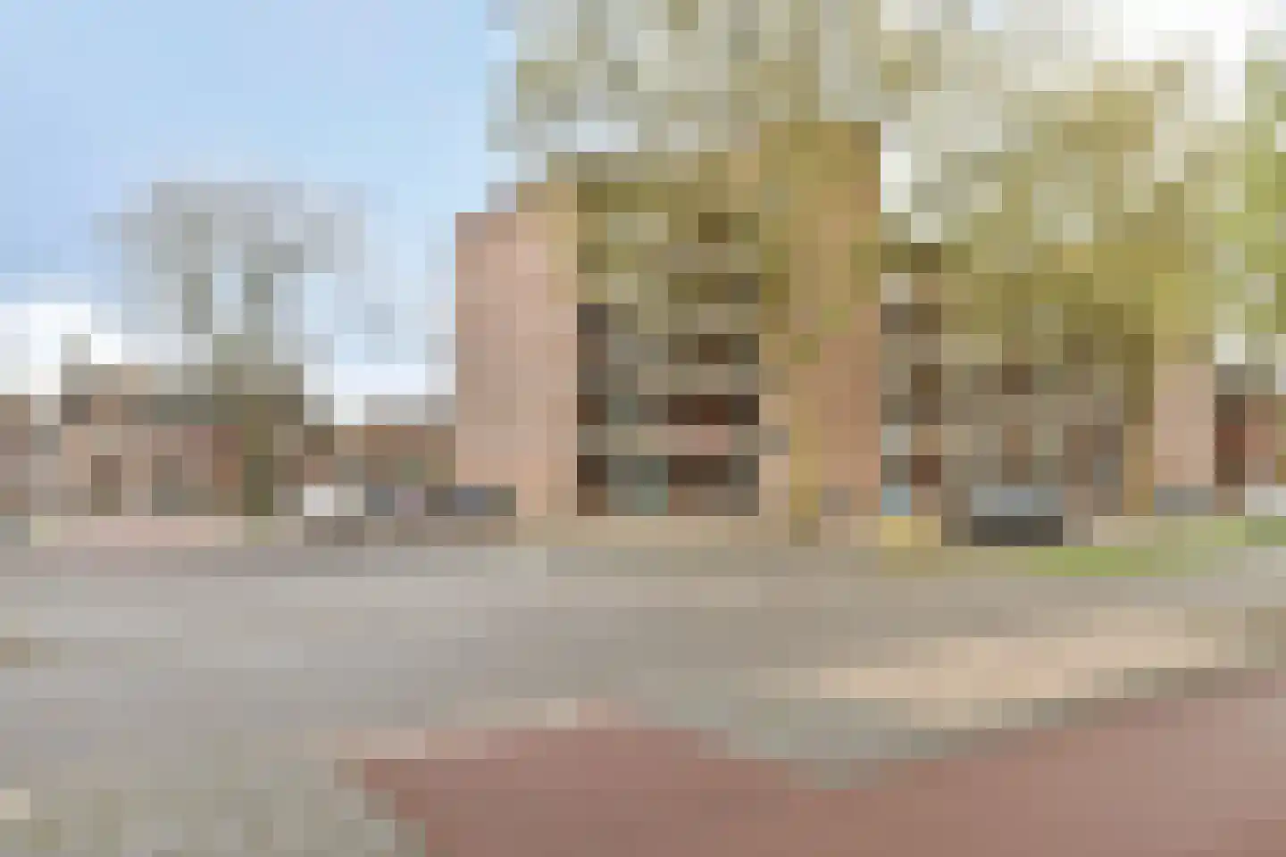Noordsingel 96 Bergen op Zoom thumbnail 18