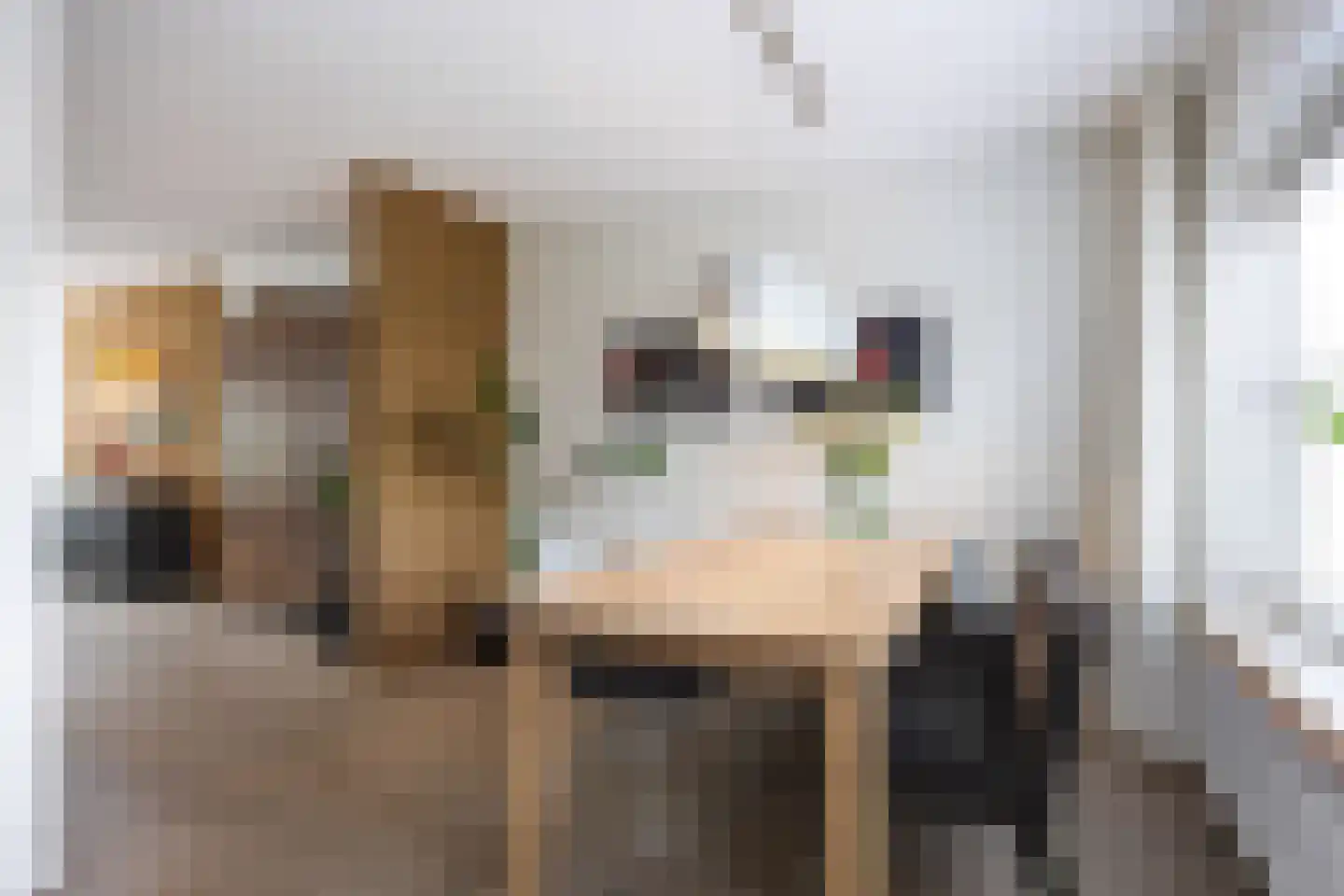 Noordstar 46 Briltil thumbnail 16
