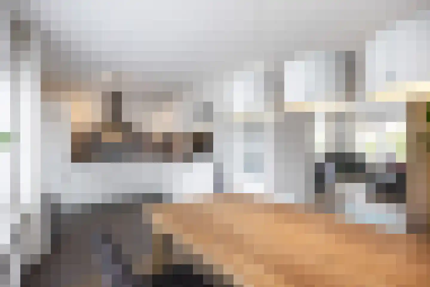 Noordstar 46 Briltil thumbnail 17