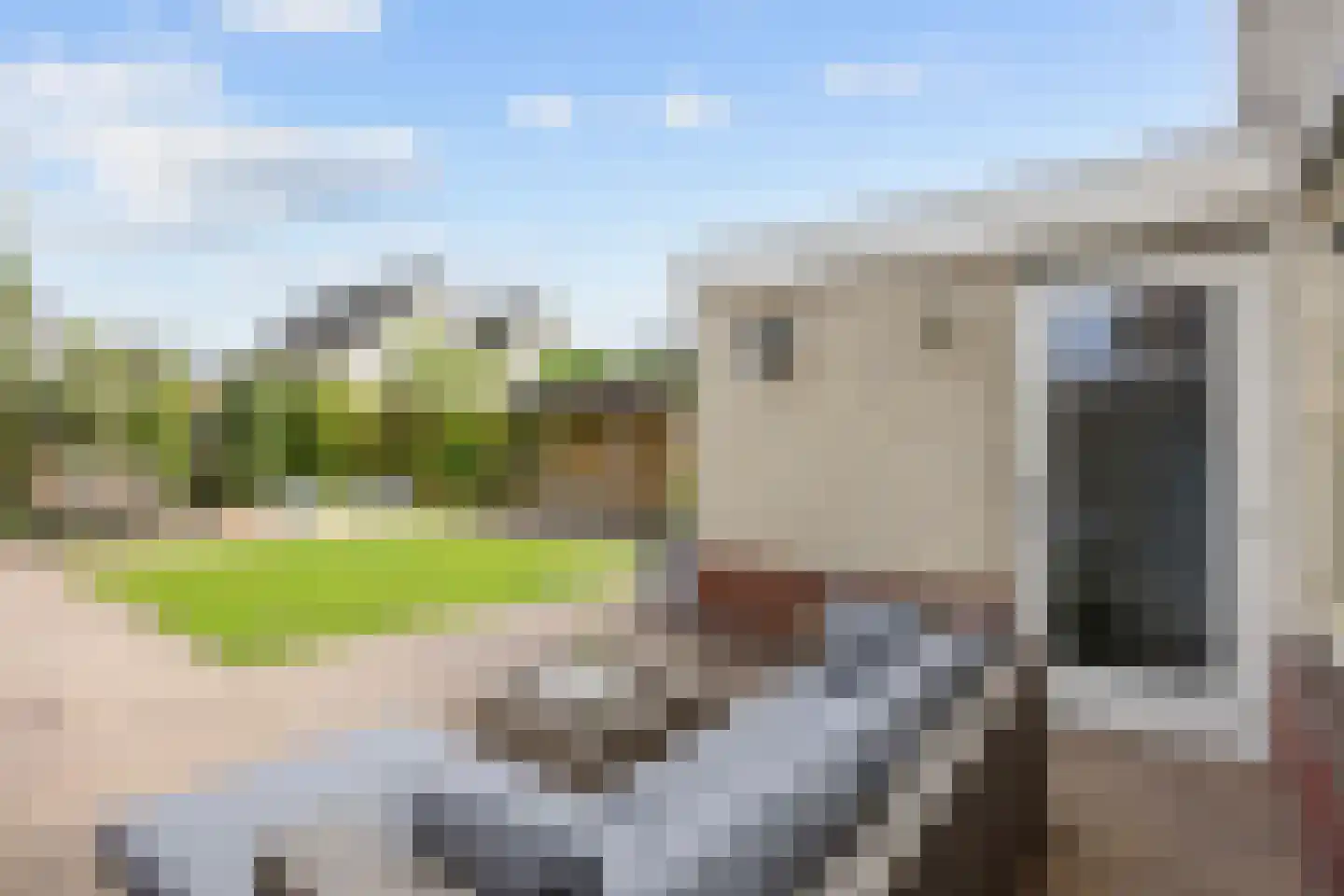 Noordstar 46 Briltil thumbnail 31
