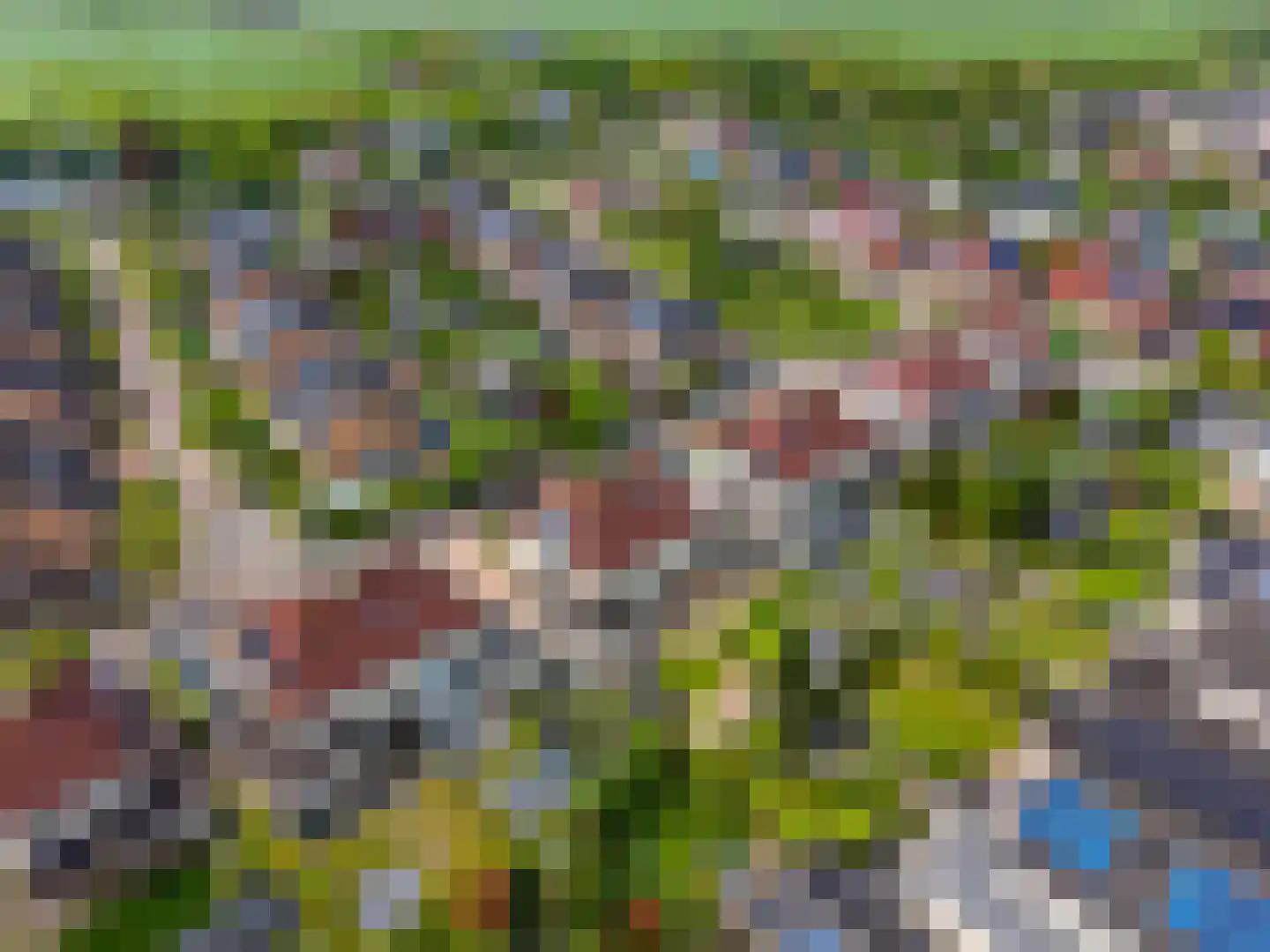 Noordstar 46 Briltil thumbnail 40