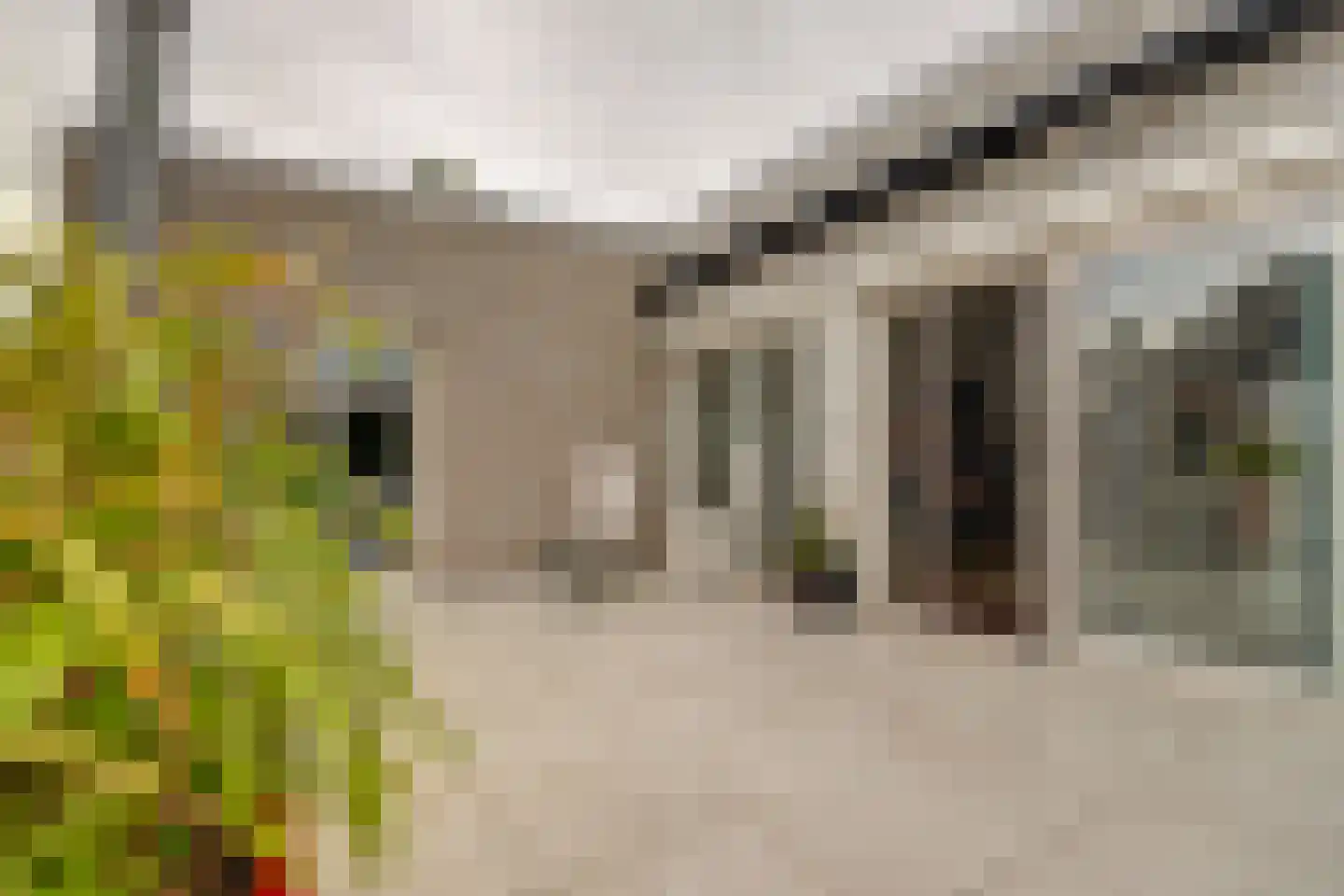 Noordstraat 1 a Bodegraven thumbnail 12