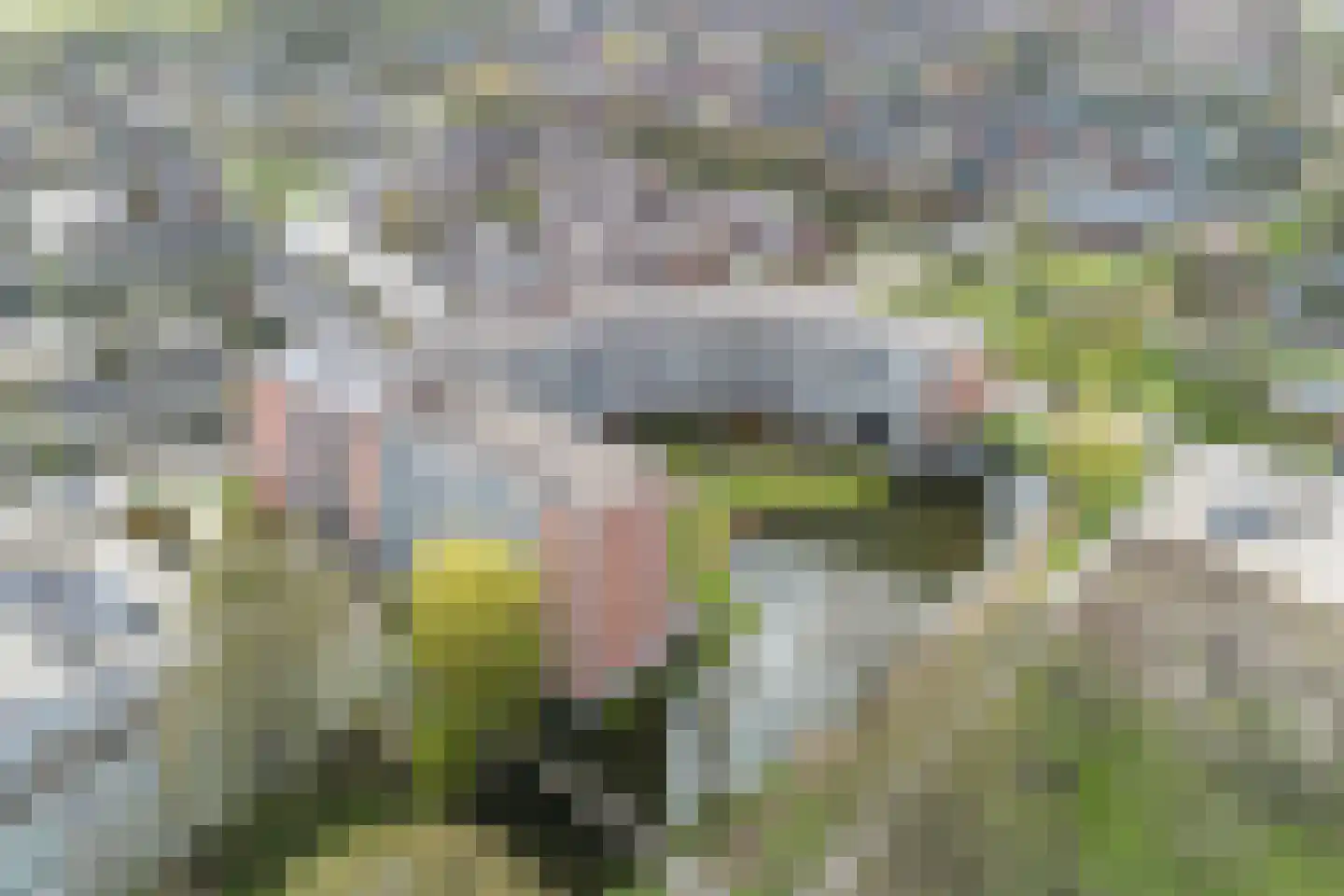 Noordstraat 1 a Ridderkerk thumbnail 33