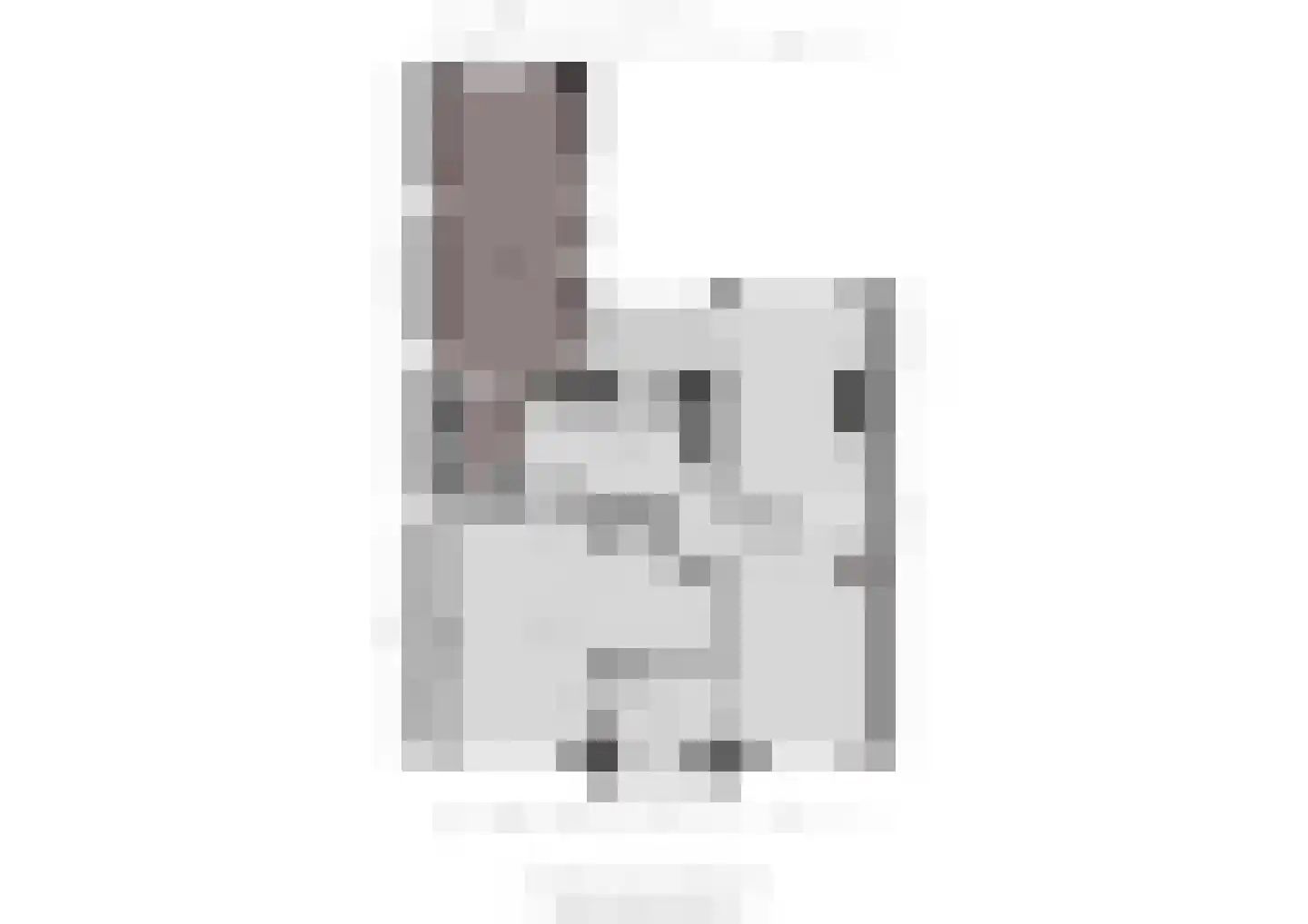 Noordstraat 1 Hoek thumbnail 44