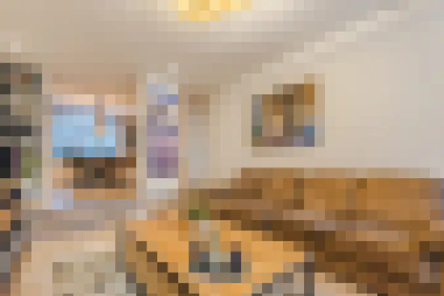Noordstraat 1 Hoek thumbnail 8