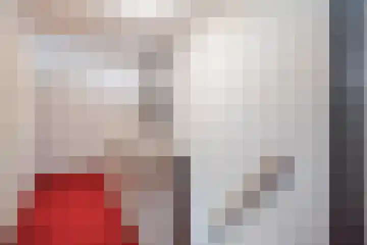 Noordstraat 10 Sas van Gent thumbnail 14