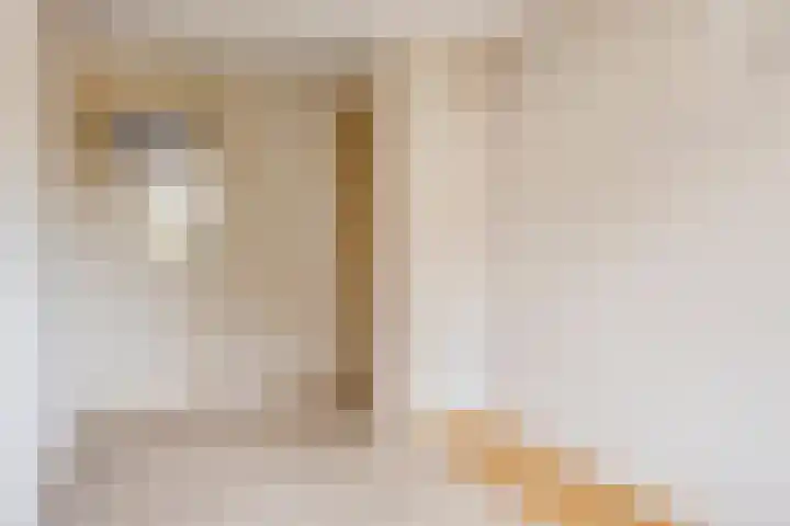 Noordstraat 10 Sas van Gent thumbnail 23