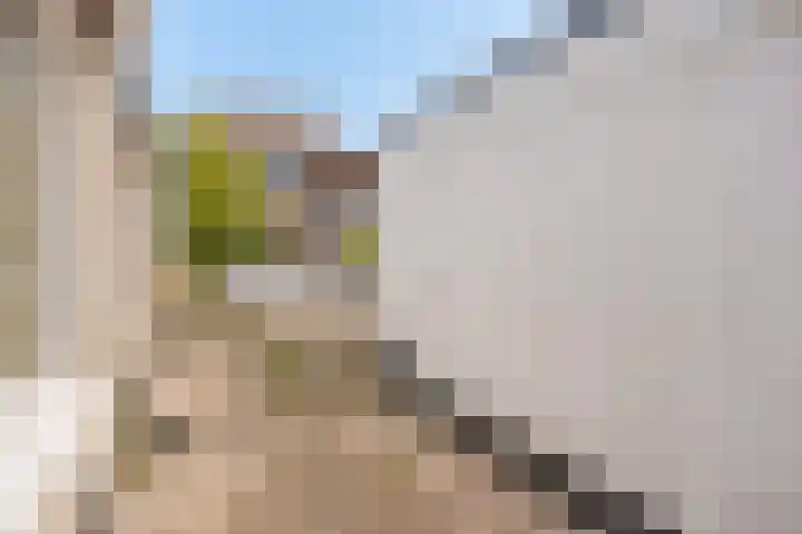 Noordstraat 10 Sas van Gent thumbnail 24