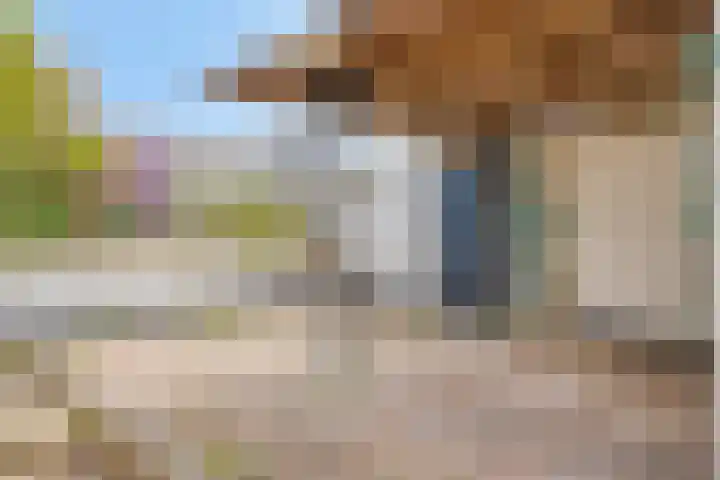 Noordstraat 10 Sas van Gent thumbnail 25