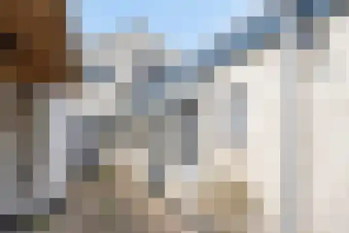 Noordstraat 10 Sas van Gent thumbnail 26