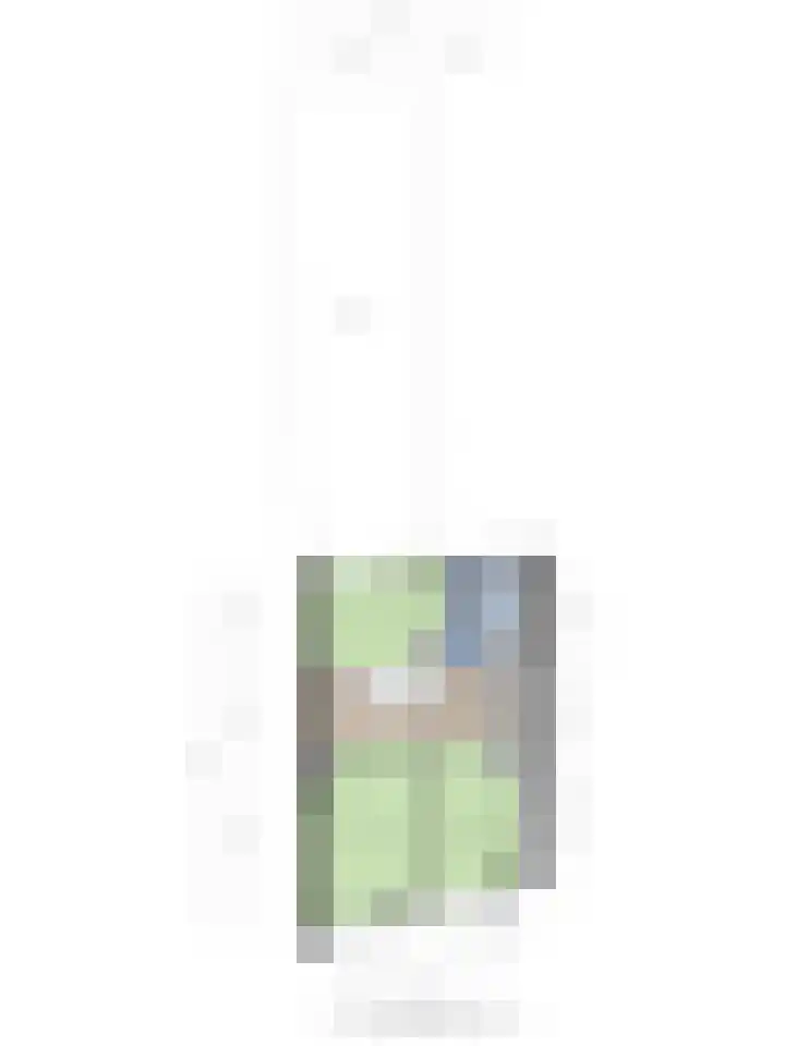 Noordstraat 10 Sas van Gent thumbnail 33