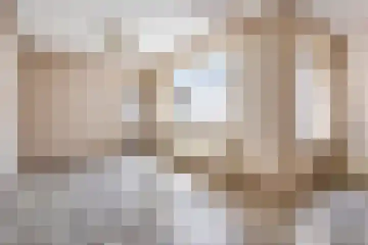 Noordstraat 10 Sas van Gent thumbnail 4