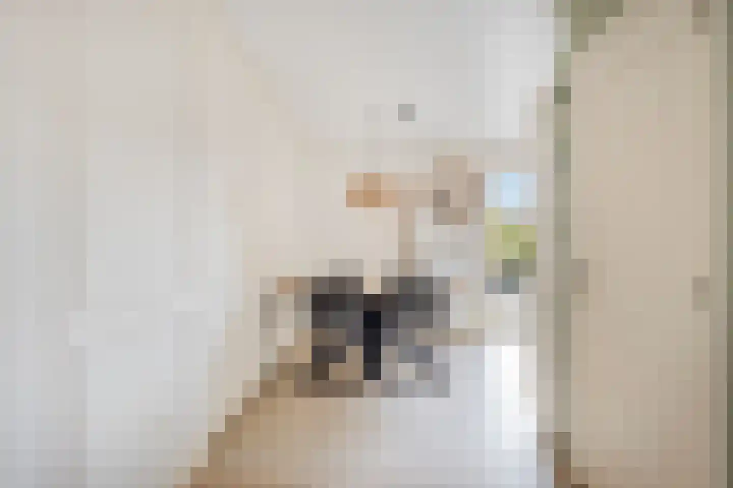 Noordstraat 11 Biervliet thumbnail 10