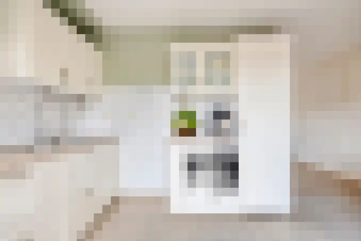 Noordstraat 11 Biervliet thumbnail 12