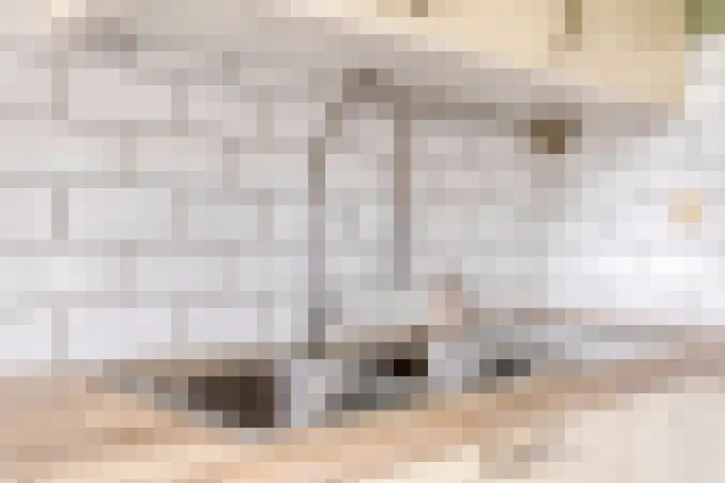Noordstraat 11 Biervliet thumbnail 13