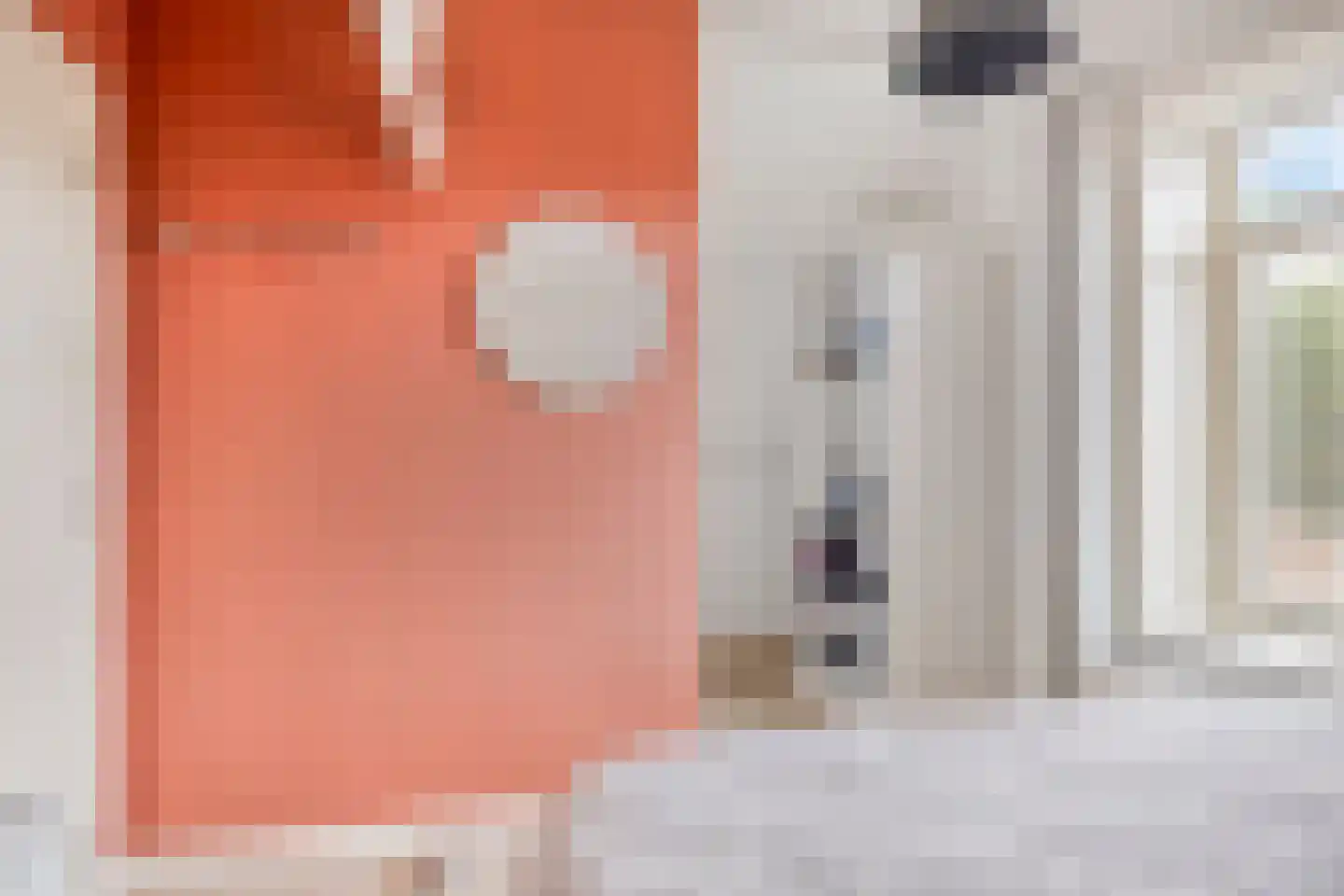 Noordstraat 11 Biervliet thumbnail 16