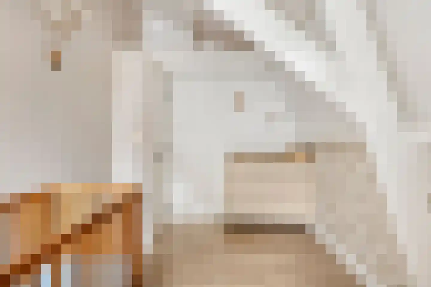 Noordstraat 11 Biervliet thumbnail 20