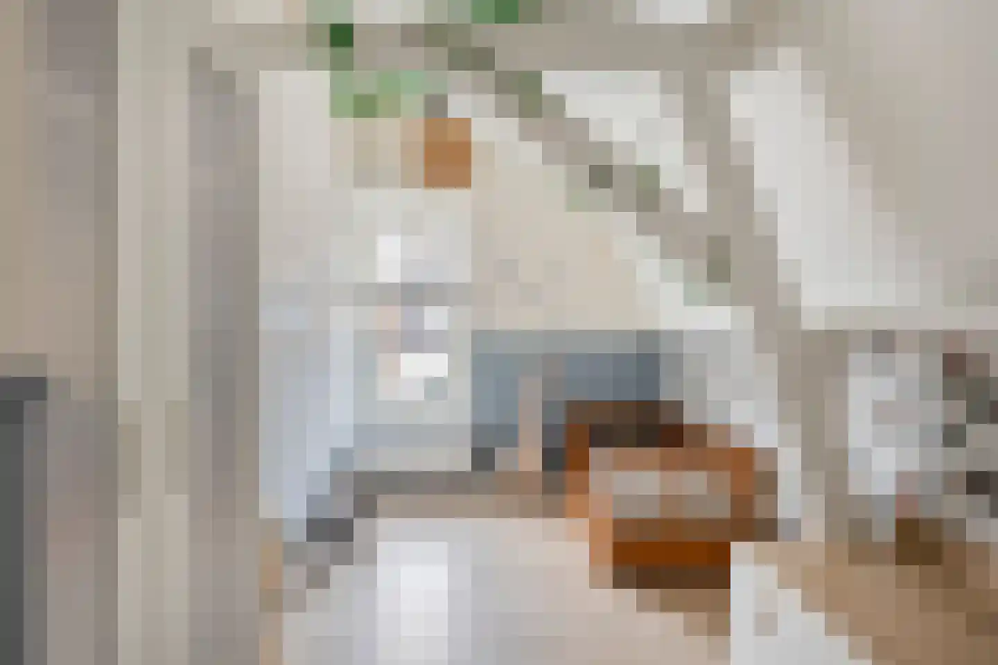 Noordstraat 11 Biervliet thumbnail 21