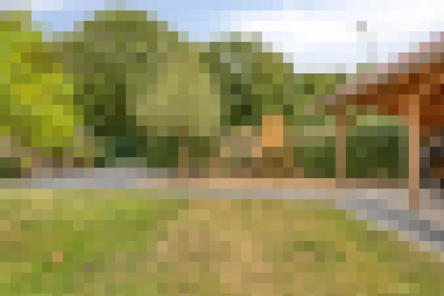 Noordstraat 11 Biervliet thumbnail 28